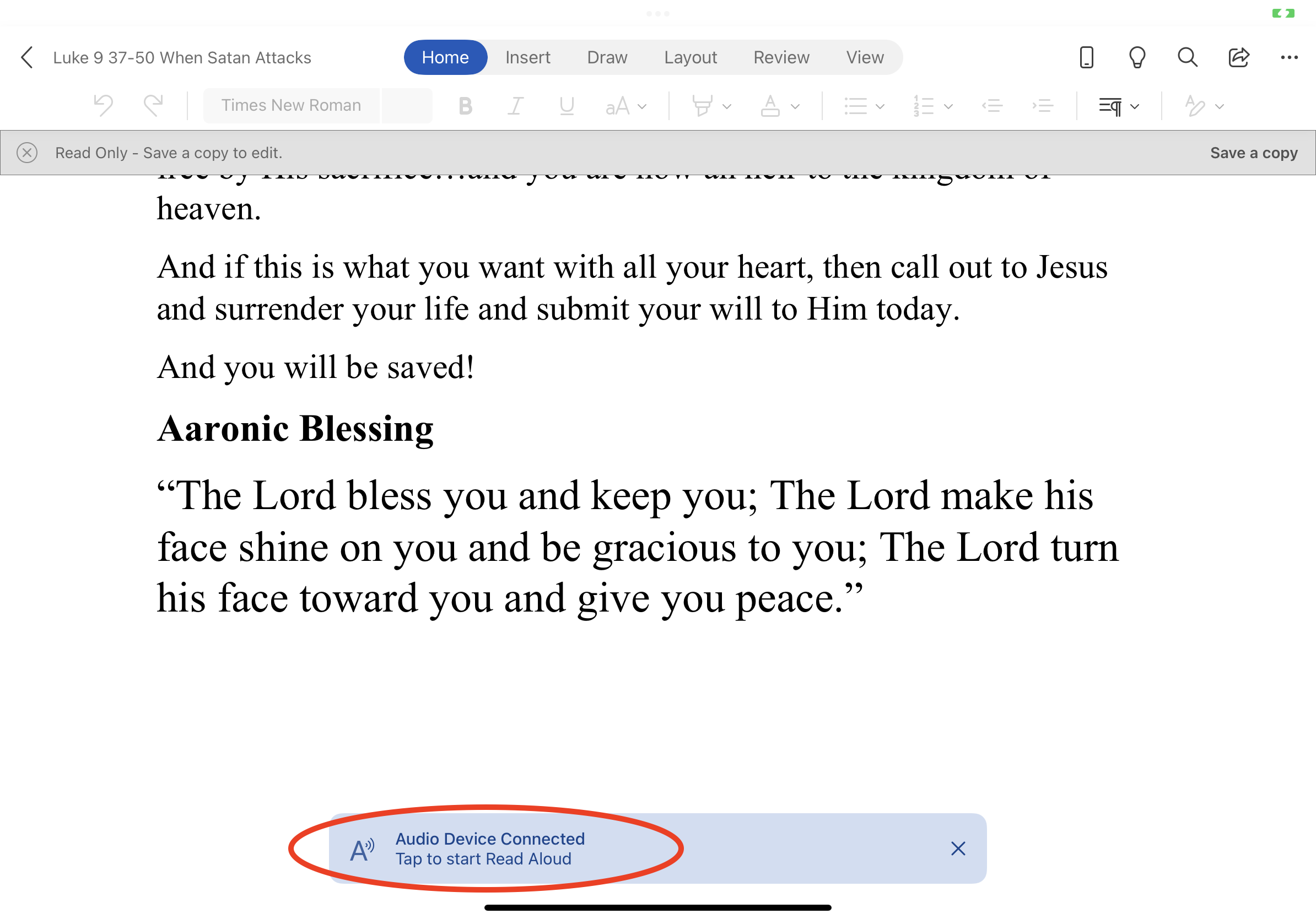 Screen Shot of Microsoft Word on iPad showing audio option