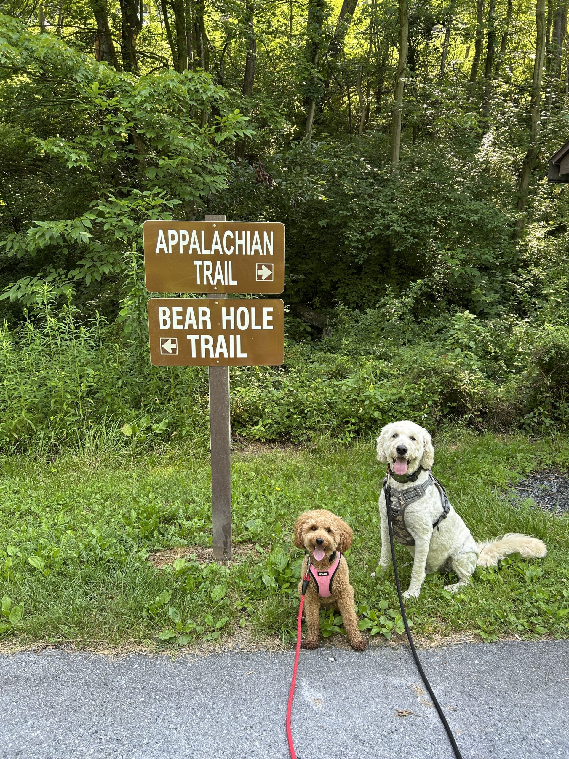 Cooper and Penny on the Trail near Jonestown / Hershey NE KOA Journey