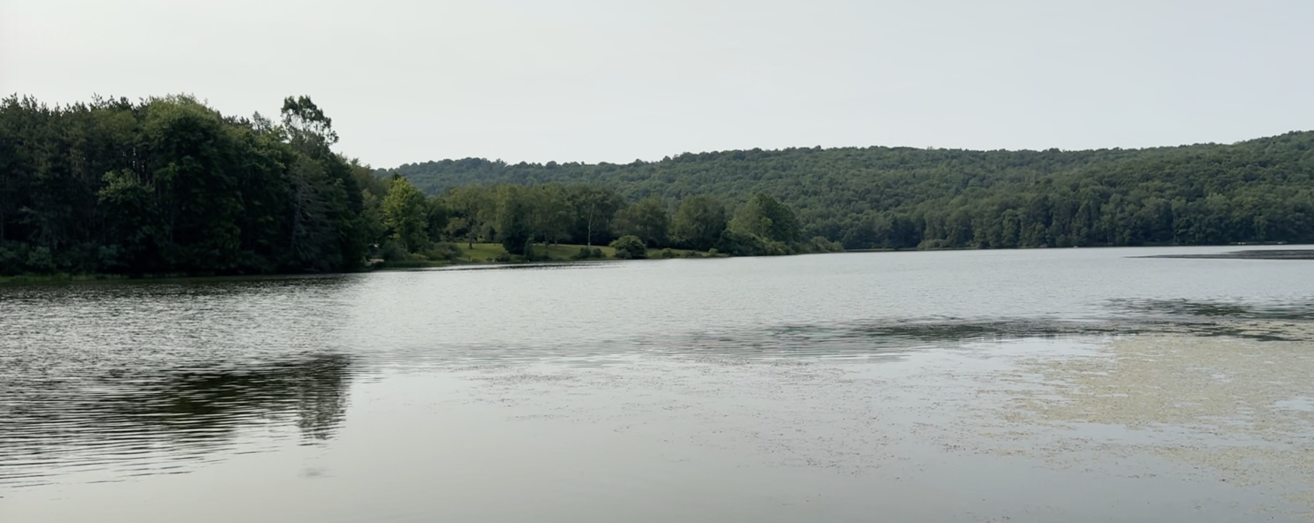 View of Lackawanna Lake